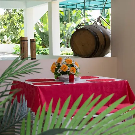 Tabua Suites Iii Holiday home Ribeira Brava